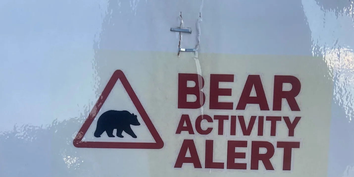 More information on bear attack near Augusta