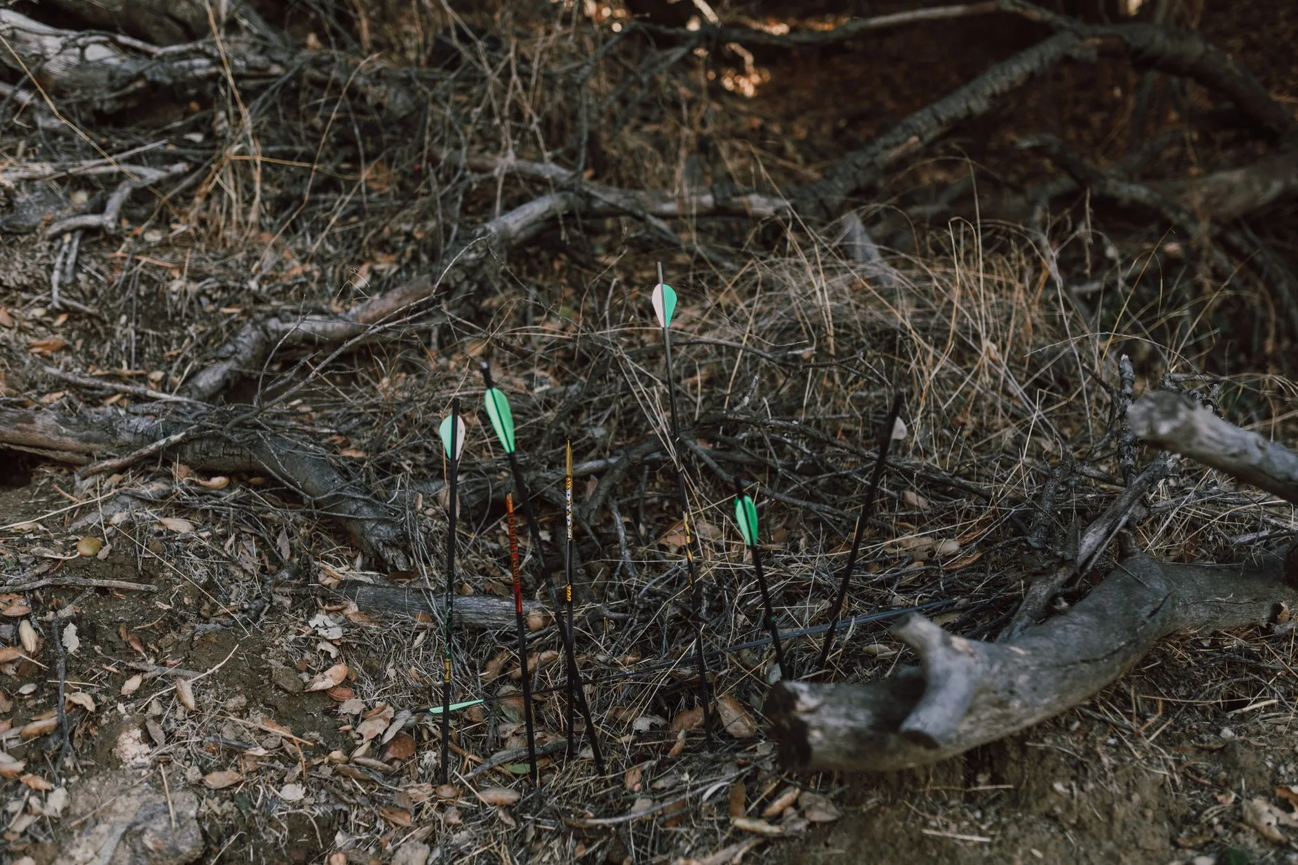 Most Archery Hunts Don’t End With a Kill — A Montana Bowhunter Gets Real About Success