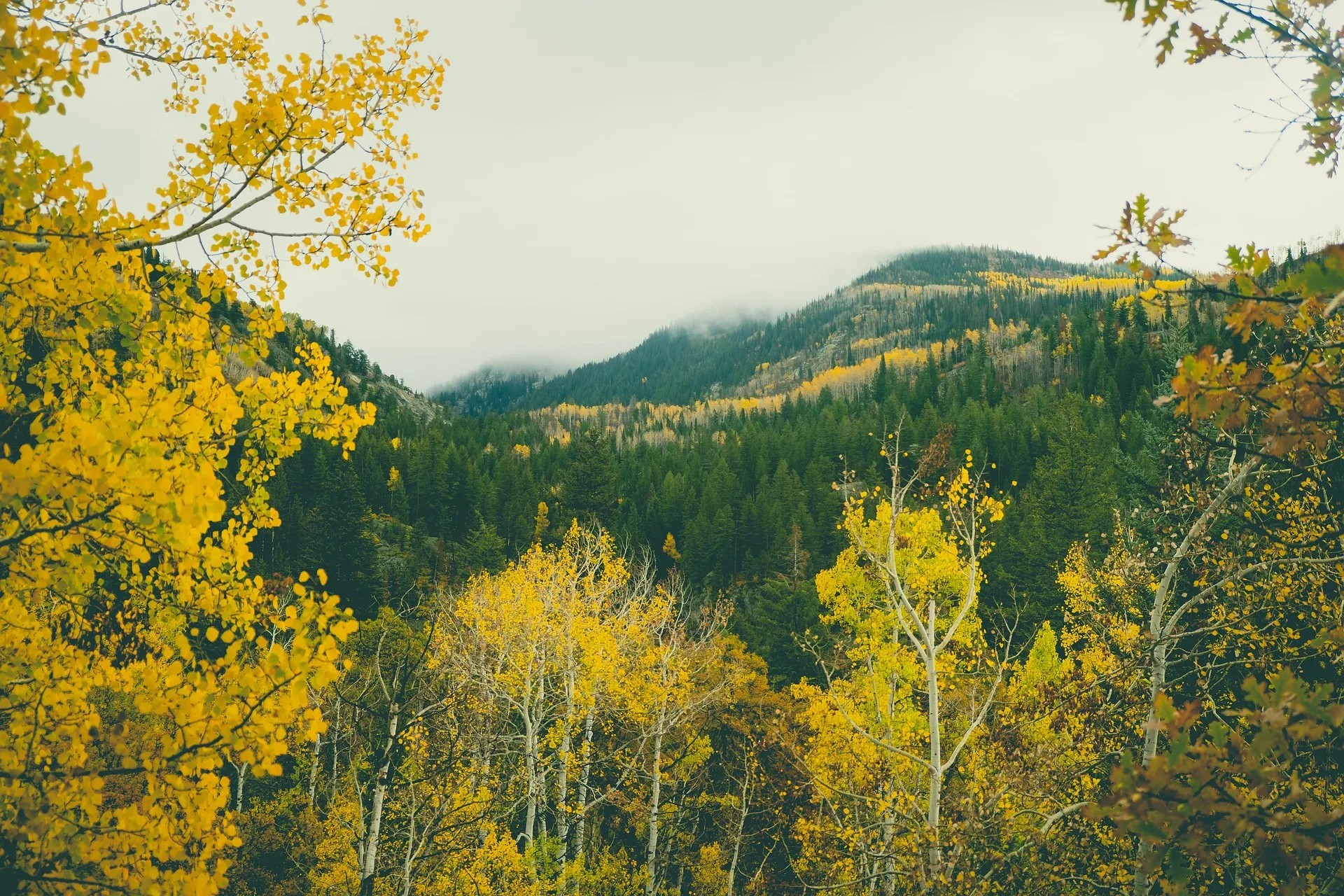 Hiker dies after fall near Leigh Lake in Lincoln County