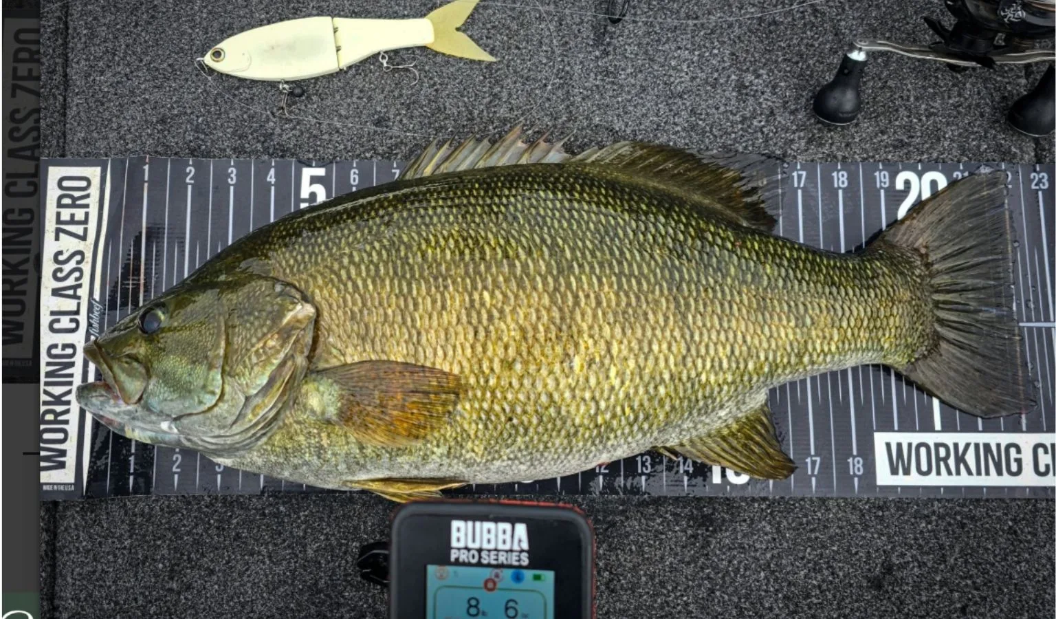 The Bass That Was One Board Short of a World Record