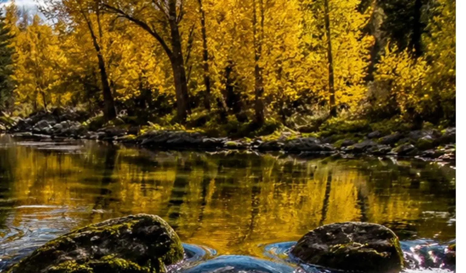 The Boulder River in October: Crystal-Clear Water, Nowhere to Hide