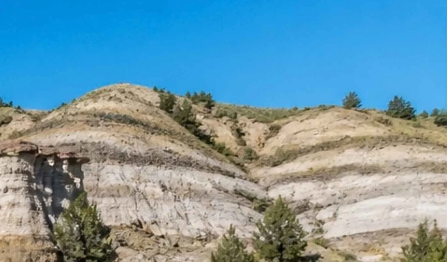 Partial closure at Makoshika State Park for noxious weed spraying next week