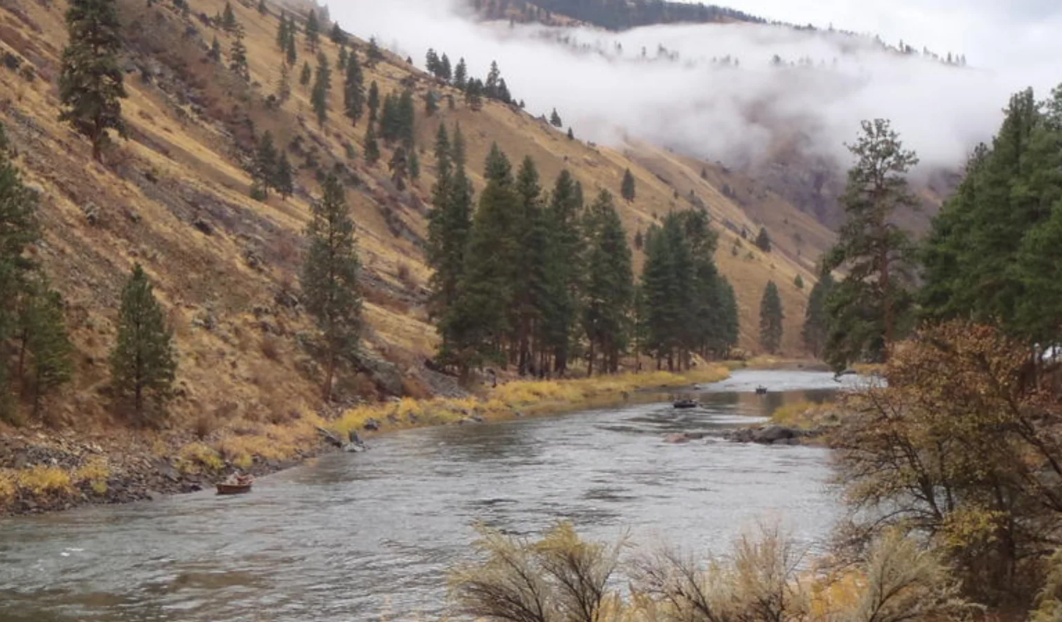 Upper Salmon River Steelhead Fishing Report 10.14.26