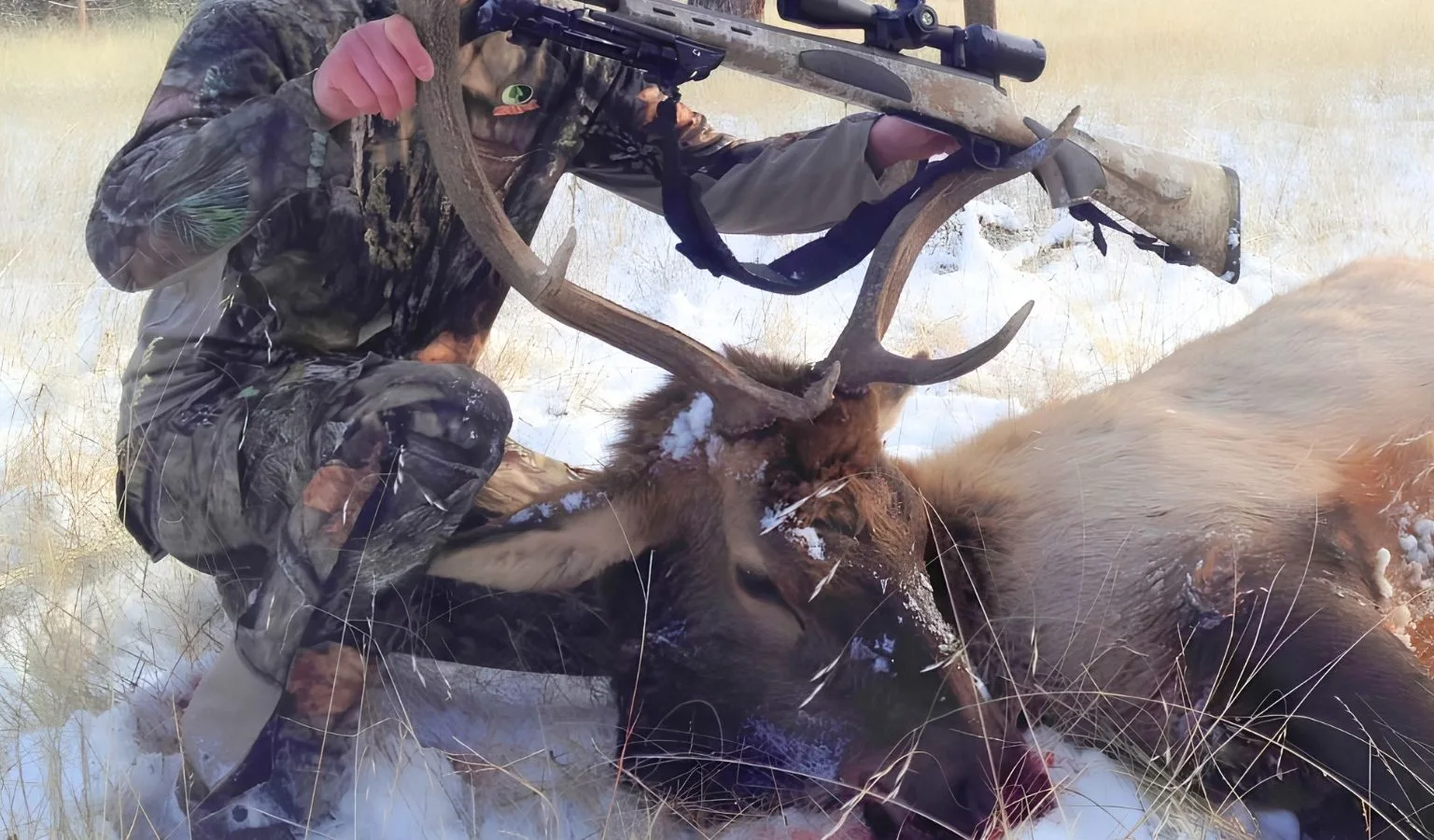 FWP: Reminder: New HD 101-50 bull elk permit area