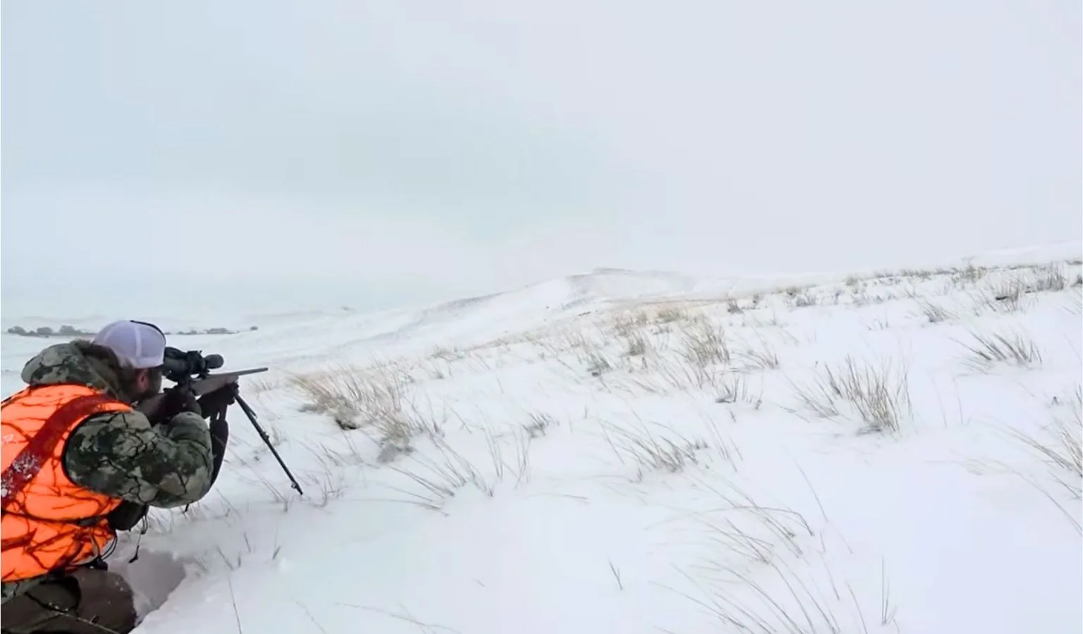 Blizzard Bucks Down: Heckman’s Pronghorn Hunt