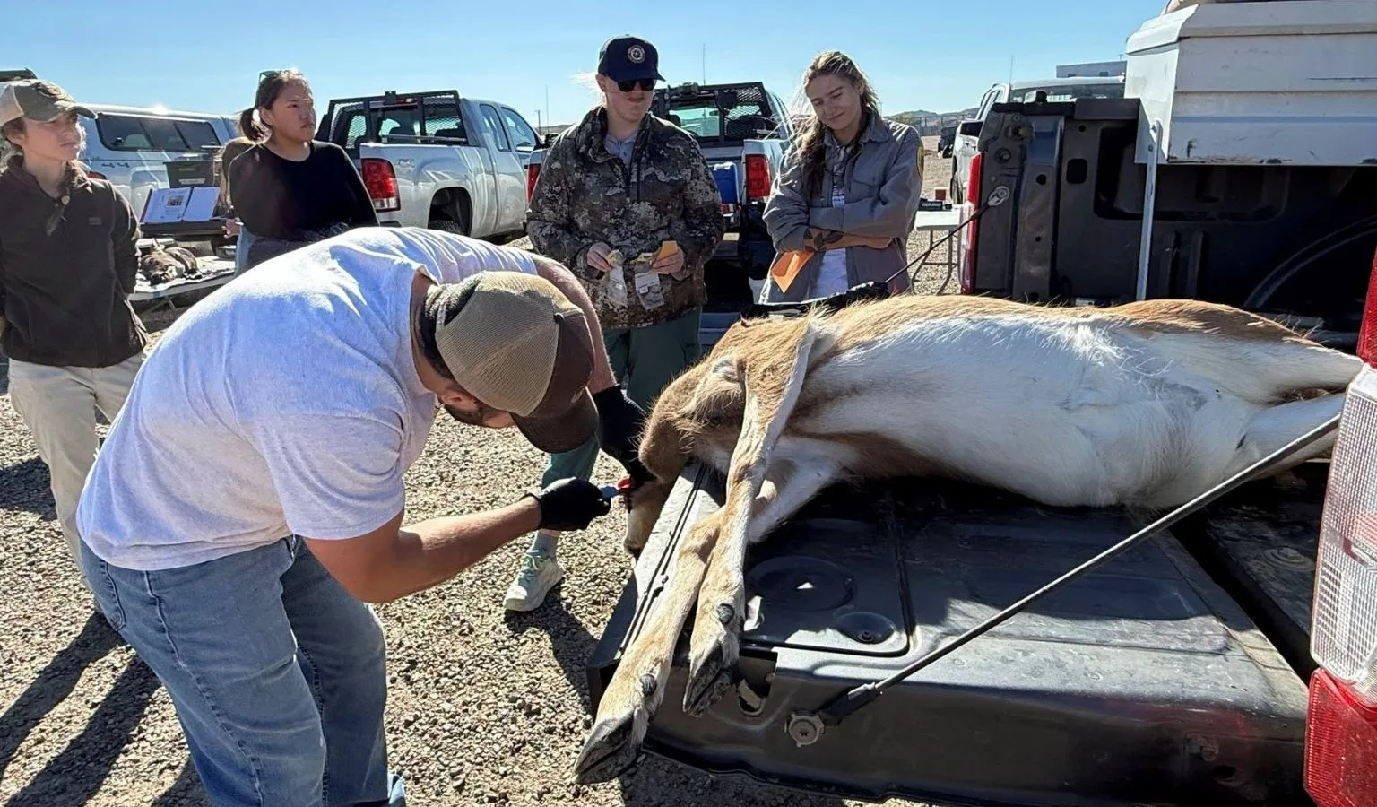 CWD sampling easy, accessible and free in Region 7