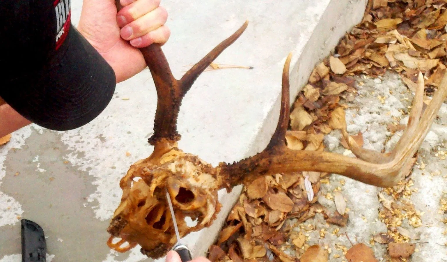 The Buck Stops at the Skull: Kalispell Hunting Contest at Shadow Enterprises