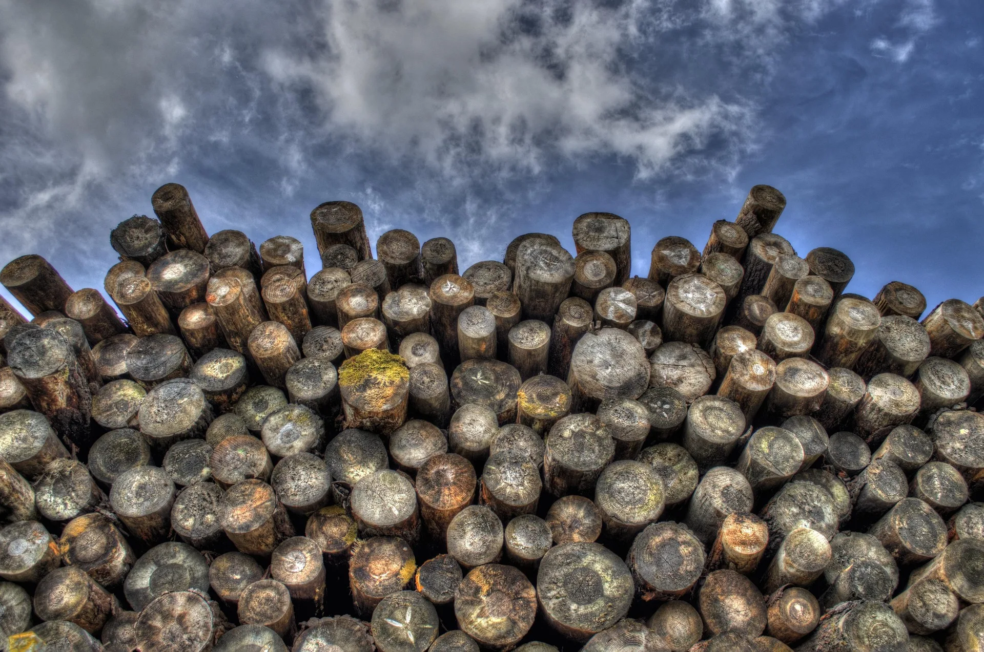 Piper Creek Project to Promote Healthy Forest Stands and Reduce Hazardous Fuels near Condon, MT