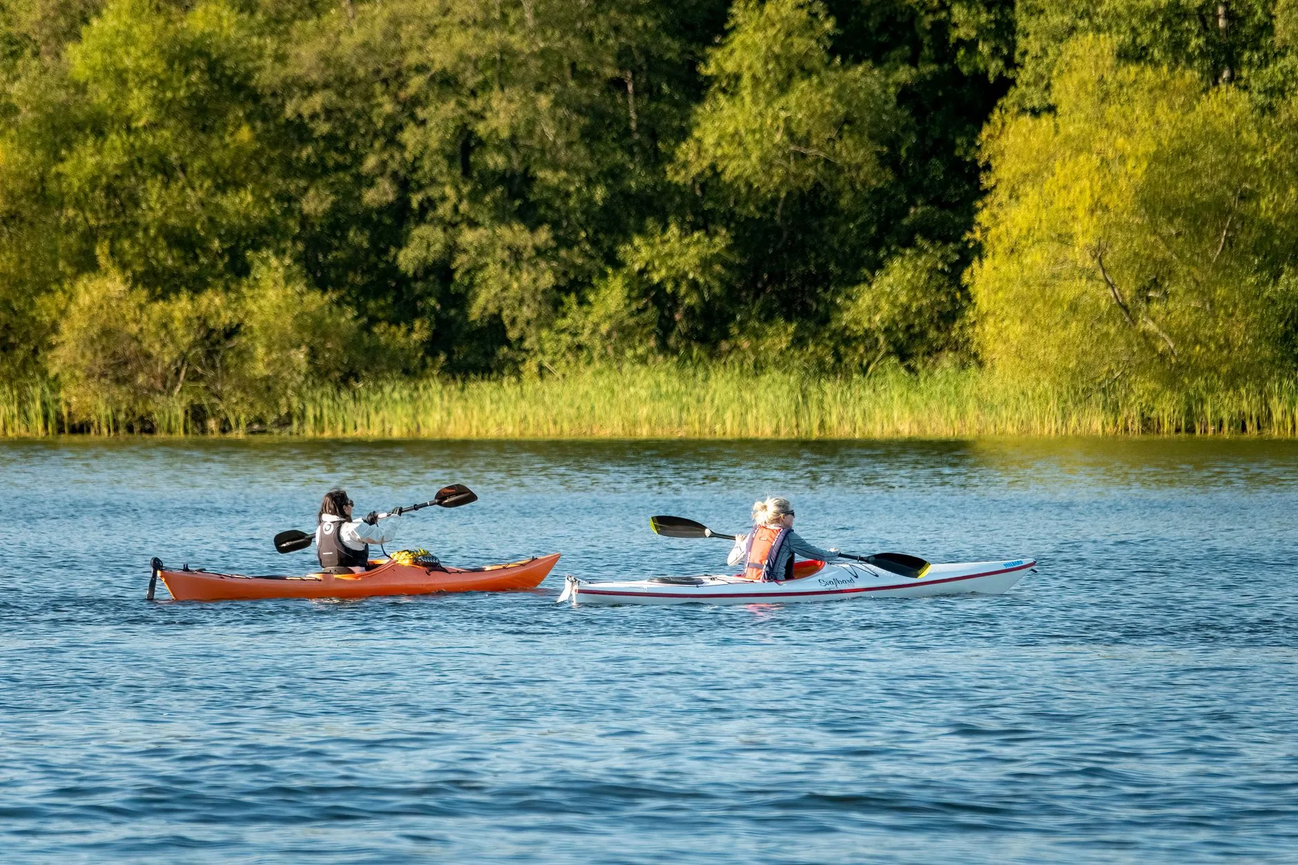 Every Kayak Must Stop: Montana’s AIS Wardens Are Out Now
