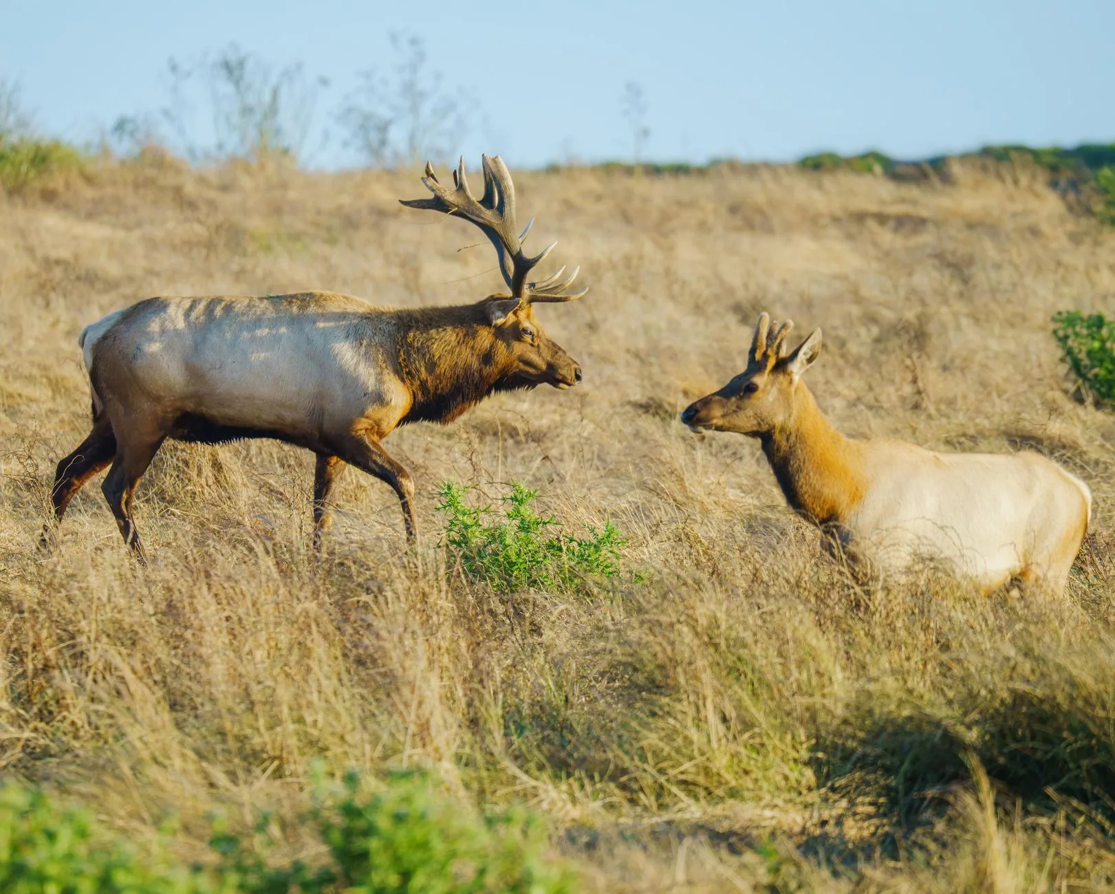 Fish and Wildlife Commission to meet December 10